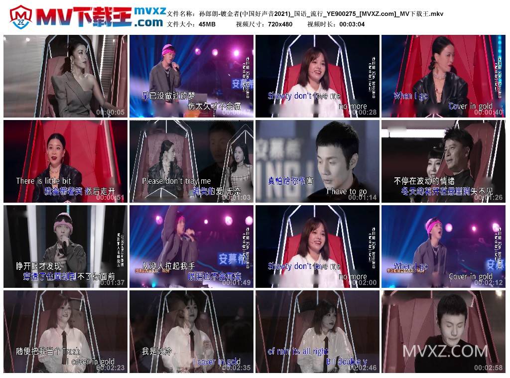孙郎朗-镀金者(中国好声音2021)_国语_流行_YE900275